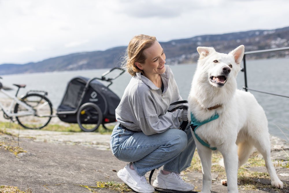 Hamax Pluto L - rimorchio per cani - immagine 8